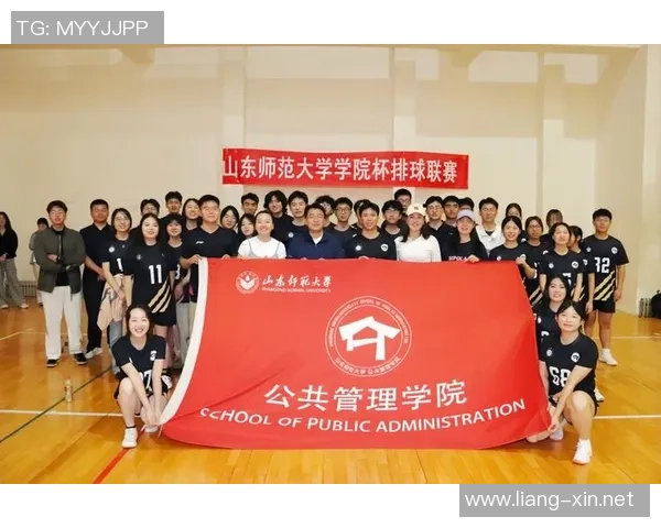 深圳排球队总决赛精彩表现分析与实力评估